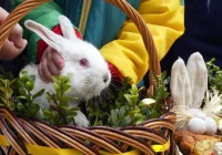 "Wielkanocna symbolika jest mieszanką znaczeń pogańskich i judaistycznych" - zdjęcie główne