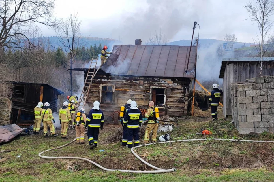 Pożar drewnianego domu, 9 zastępów straży w akcji - zdjęcie 3