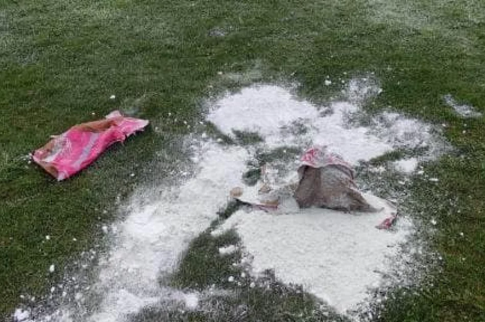 Zniszczenia na stadionie. Klub stawia ultimatum - zdjęcie 5