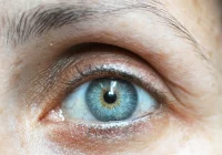 Zabiegi witrektomii już wkrótce w limanowskim szpitalu - zdjęcie główne