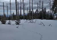 Szlaki zamknięte w porze nocnej - zdjęcie główne