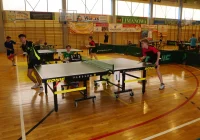 Uczniowie z naszego powiatu dotarli do finałów wojewódzkich - zdjęcie główne