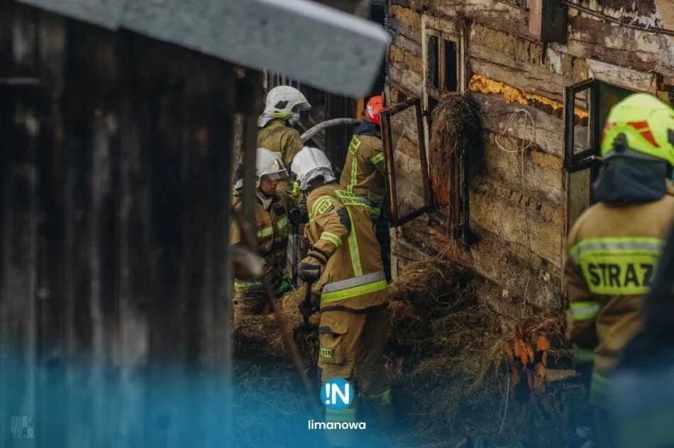 “Po moim życiu pozostały tylko zgliszcza” - zdjęcie 3