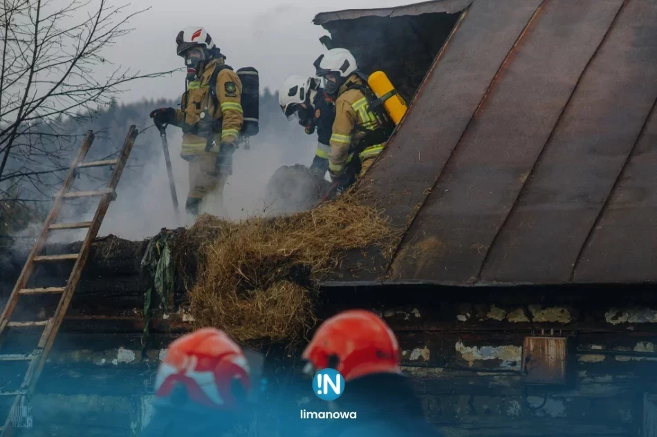 “Po moim życiu pozostały tylko zgliszcza” - zdjęcie 16