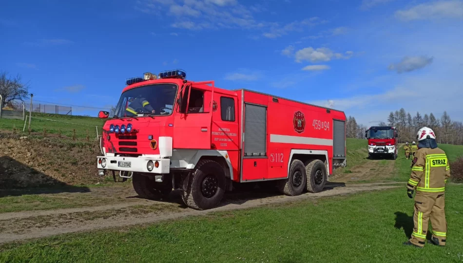 Szybka interwencja pozwoliła opanować pożar - zdjęcie 1