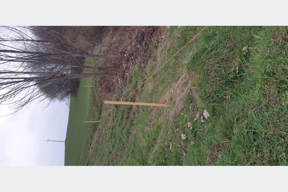 Paliki Słupki drewniane. - zdjęcie 3