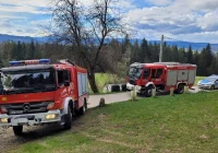 Tragiczny wypadek w lesie - zdjęcie główne