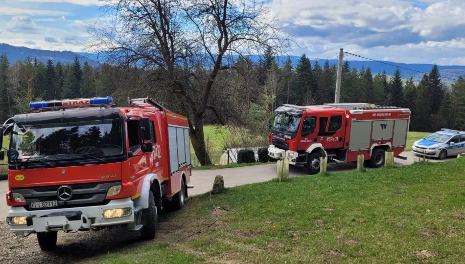 Tragiczny wypadek w lesie - zdjęcie 1