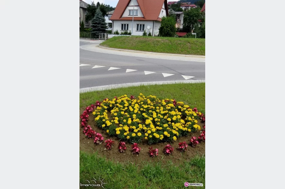 Miasto się zmienia - zdjęcie 4