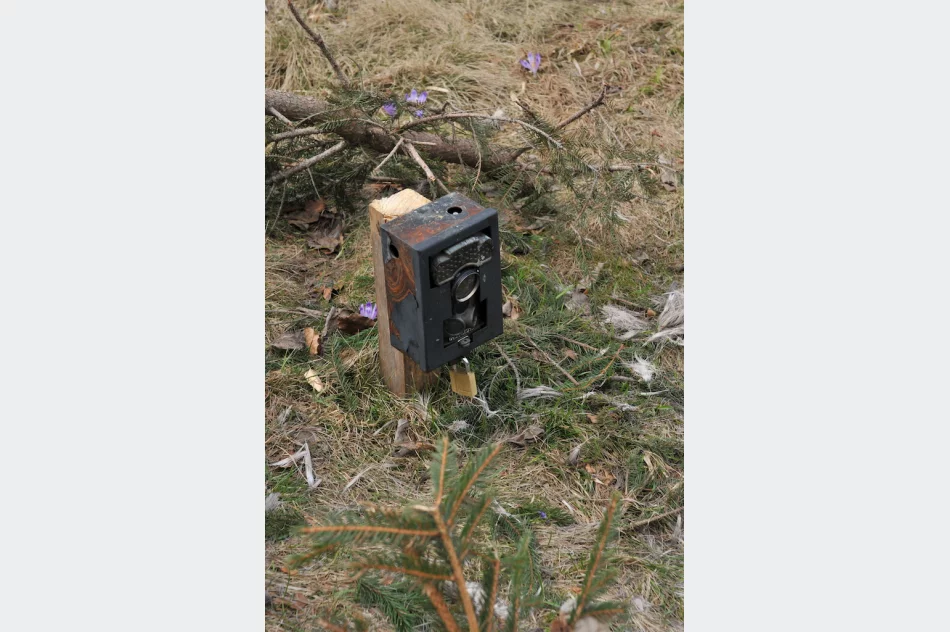 Martwy kot przywiązany drutem, obok fotopułapka - zdjęcie 7