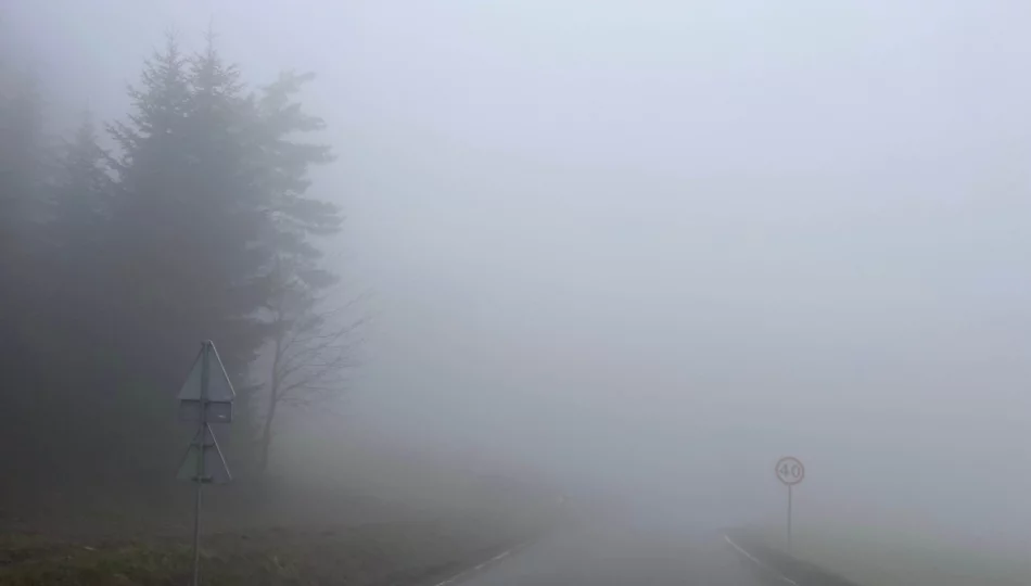 Gęsta mgła z ograniczoną widocznością - zdjęcie 1