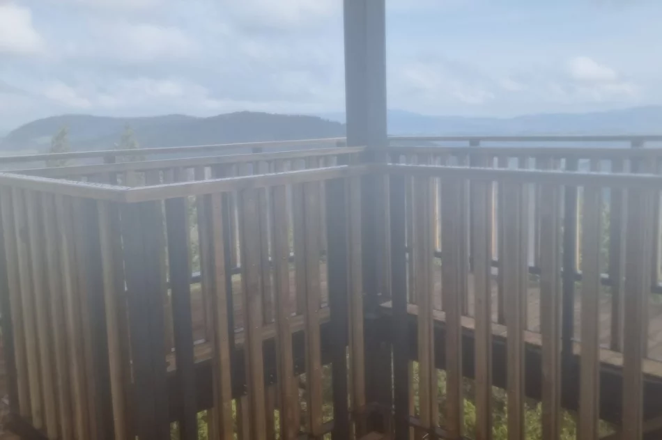 Papier toaletowy zamiast wstęgi. Radny kpi z parlamentarzystów - zdjęcie 11