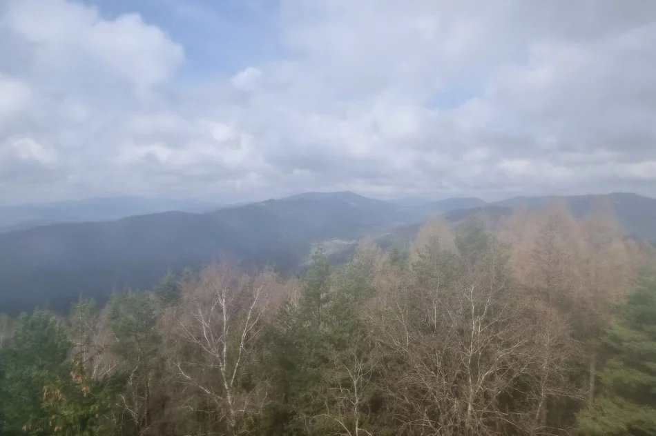 Papier toaletowy zamiast wstęgi. Radny kpi z parlamentarzystów - zdjęcie 12