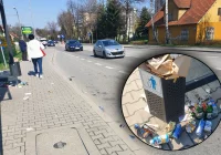 Przystanki dalej toną w śmieciach - zdjęcie główne