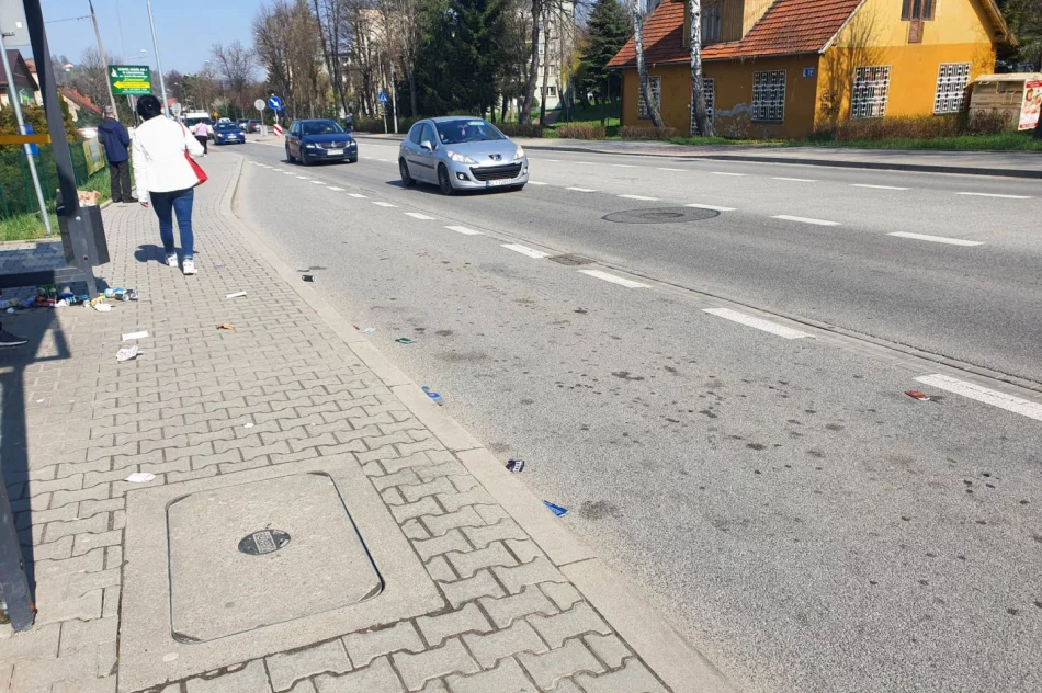 Przystanki dalej toną w śmieciach - zdjęcie 4