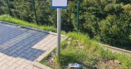 Przystanki dalej toną w śmieciach - zdjęcie 5