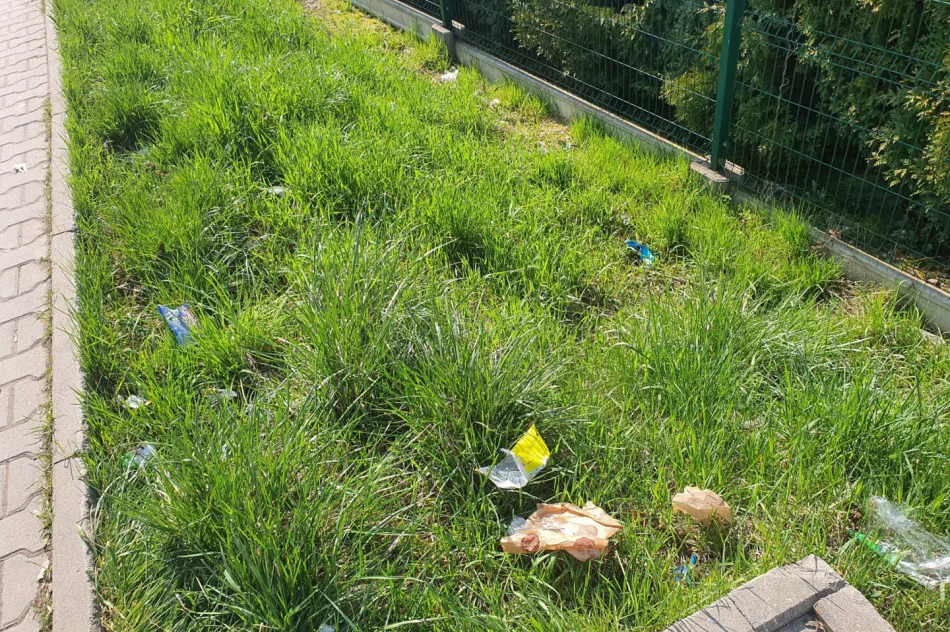 Przystanki dalej toną w śmieciach - zdjęcie 11