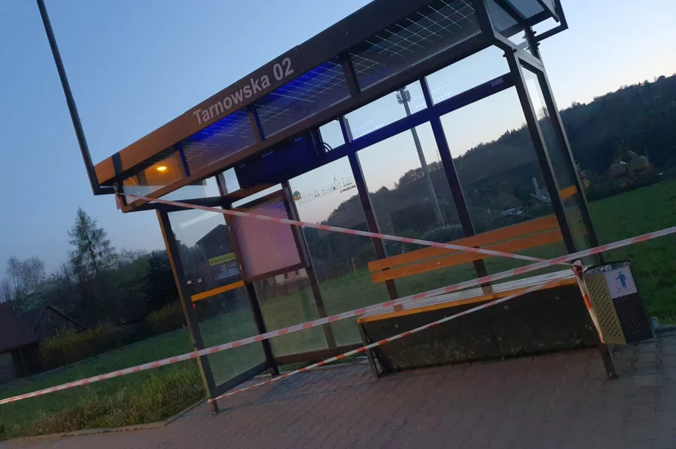 Przystanek i fragment chodnika "wyłączony z użytkowania" - zdjęcie 4