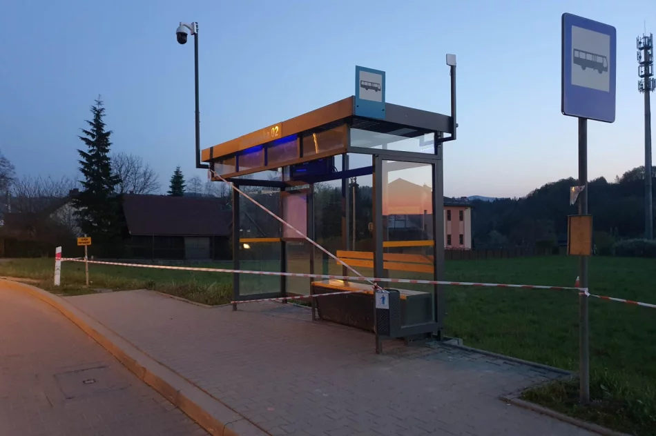 Przystanek i fragment chodnika "wyłączony z użytkowania" - zdjęcie 6