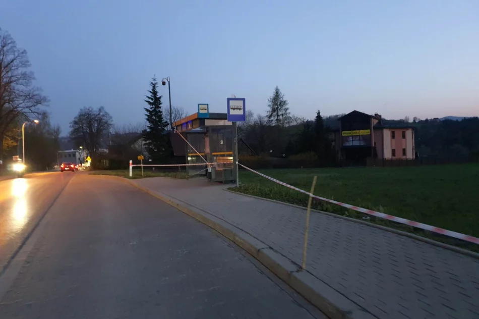 Przystanek i fragment chodnika "wyłączony z użytkowania" - zdjęcie 7