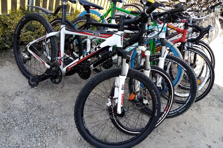 rower rowery dla dzieci i dorosłych używane - zdjęcie 2