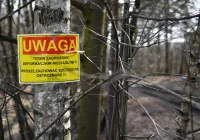 Kolejne zapadlisko w Trzebini; wojewoda rozważa zakaz przebywania na terenach zagrożonych - zdjęcie główne