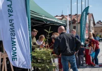 Rozdawali sadzonki i rozmawiali o klimacie - zdjęcie główne