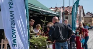 Rozdawali sadzonki i rozmawiali o klimacie - zdjęcie 3