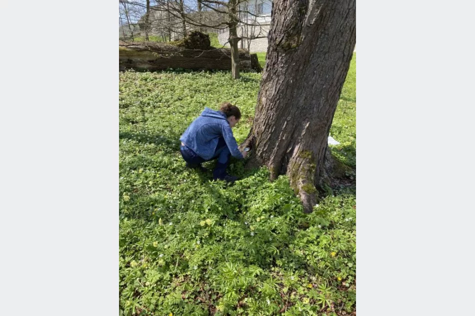 Obserwowali budzącą się przyrodę - zdjęcie 4