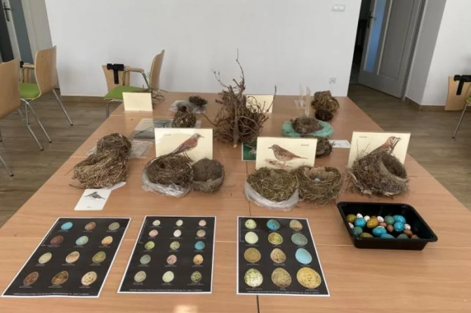 Obserwowali budzącą się przyrodę - zdjęcie 7