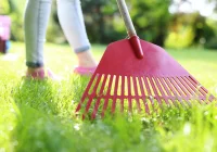 Jak zadbać o trawnik na wiosnę? Poradnik dla każdego ogrodnika - zdjęcie główne