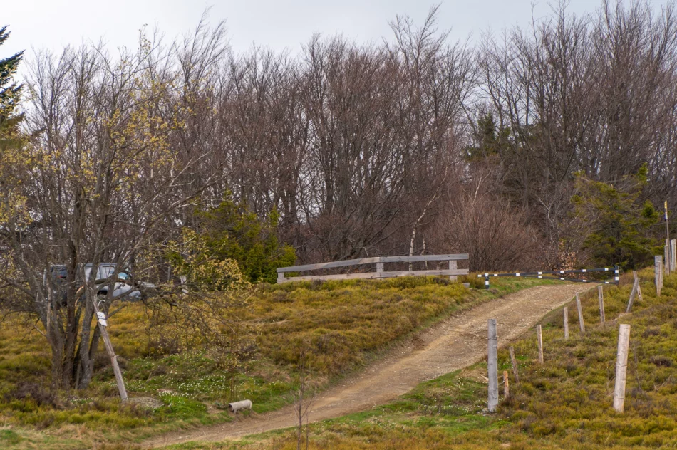 Kontrowersyjne otwarcie sezonu turystycznego na Mogielicy - politycy i samorządowcy... samochodami - zdjęcie 16
