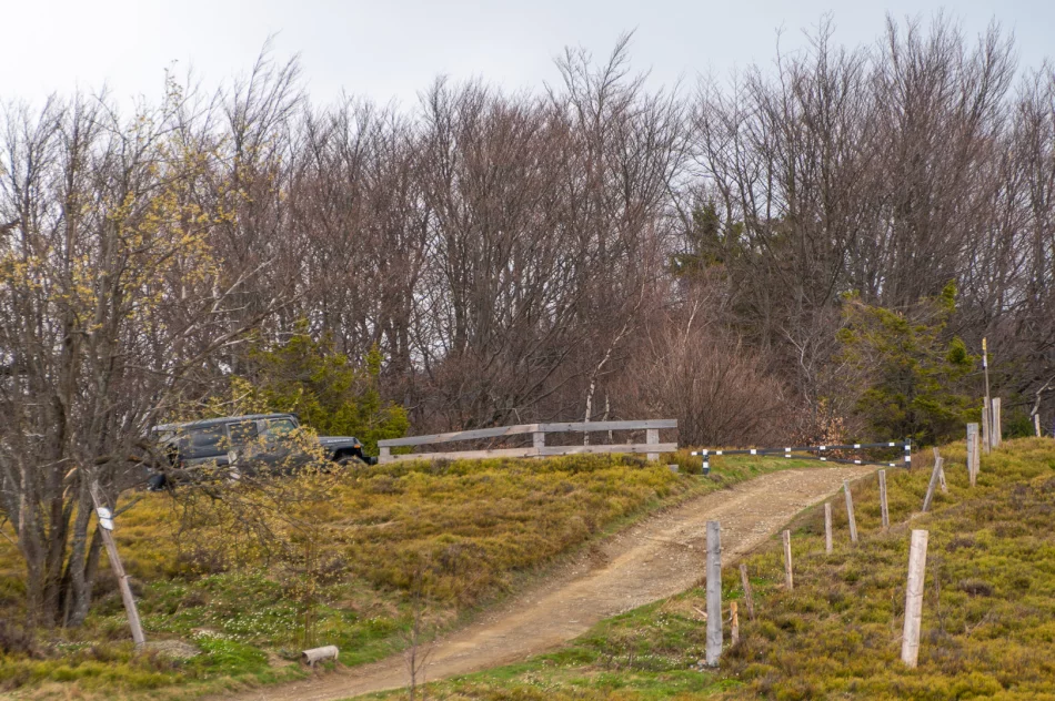 Kontrowersyjne otwarcie sezonu turystycznego na Mogielicy - politycy i samorządowcy... samochodami - zdjęcie 17