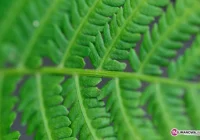 „Ziemio, nie poddawaj się …” - Konkurs - zdjęcie główne