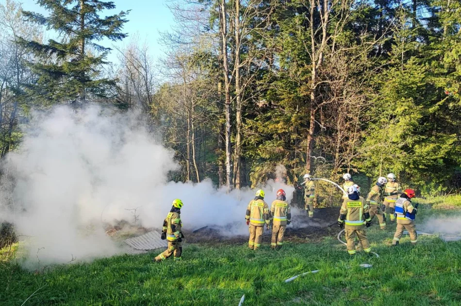 Pożar drewnianych zabudowań - zdjęcie 3