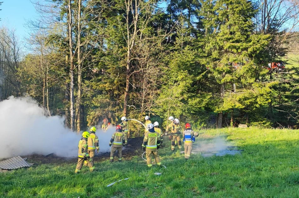Pożar drewnianych zabudowań - zdjęcie 4