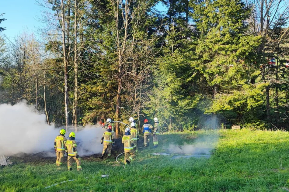 Pożar drewnianych zabudowań - zdjęcie 5