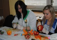 Festiwal Zawodów już za nami! - zdjęcie główne