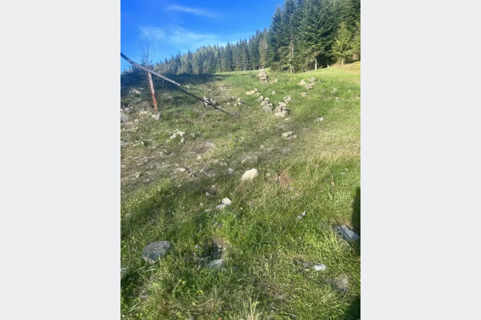 Kradzież w Gorcach. Wicestarosta: “ktoś się nie bał i zaj…” - zdjęcie 2