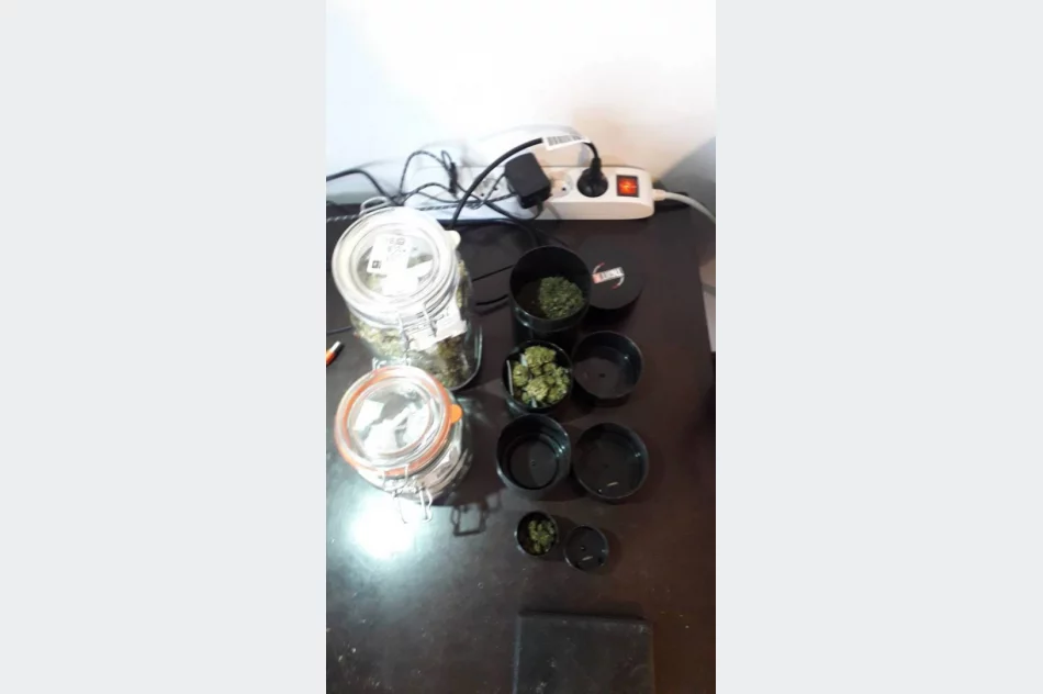 Małopolska: piekł ciasteczka z marihuaną, a konopie uprawiał na strychu - zdjęcie 9