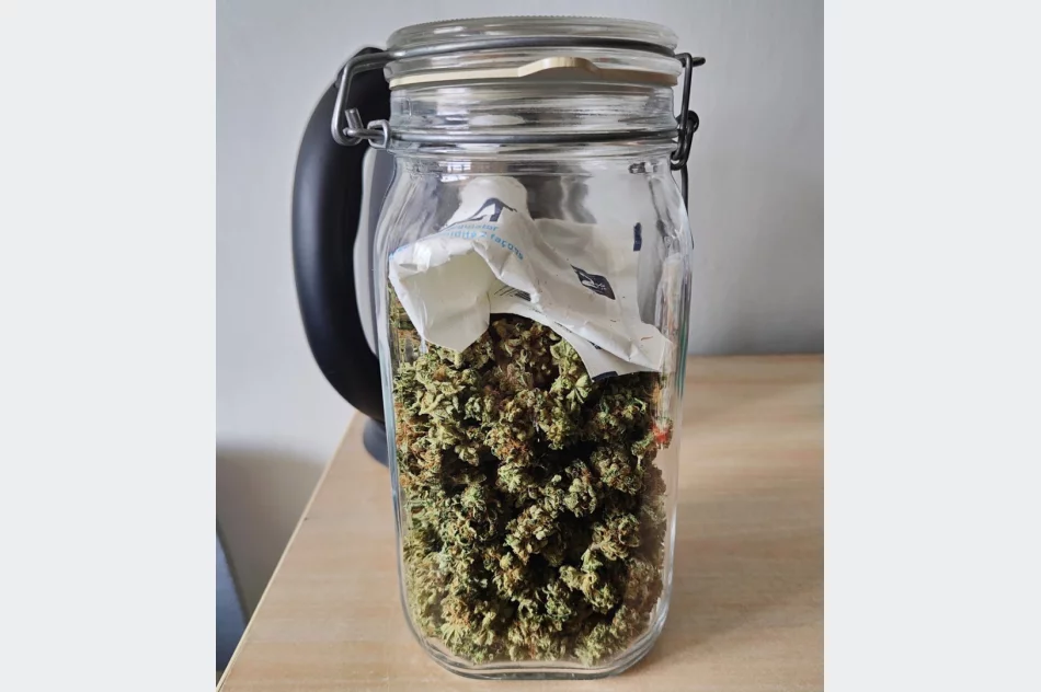 Małopolska: piekł ciasteczka z marihuaną, a konopie uprawiał na strychu - zdjęcie 10