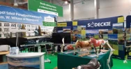 Aktywny kwiecień Zagródczan  - zdjęcie 2