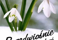 Przedwiośnie Małych Form Teatralnych - zdjęcie główne