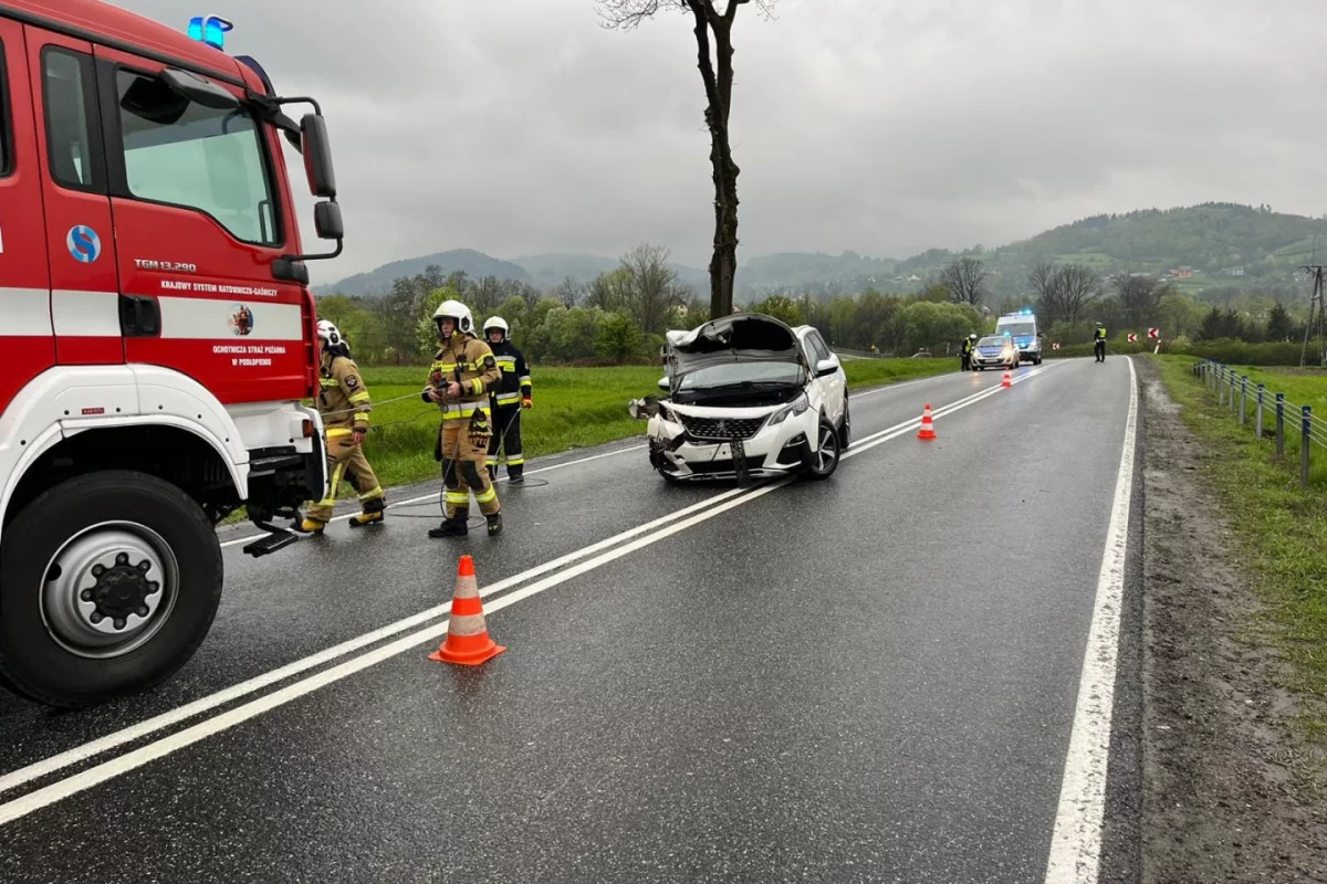 Kolizja po wtargnięciu sarny na drogę