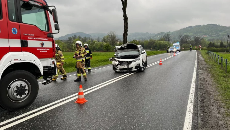 Kolizja po wtargnięciu sarny na drogę - zdjęcie 1