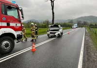 Kolizja po wtargnięciu sarny na drogę - zdjęcie główne