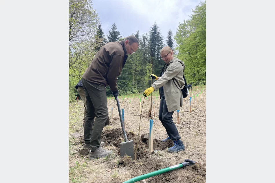 Z ministrem posadzono las pamięci Jana Pawła II - zdjęcie 10