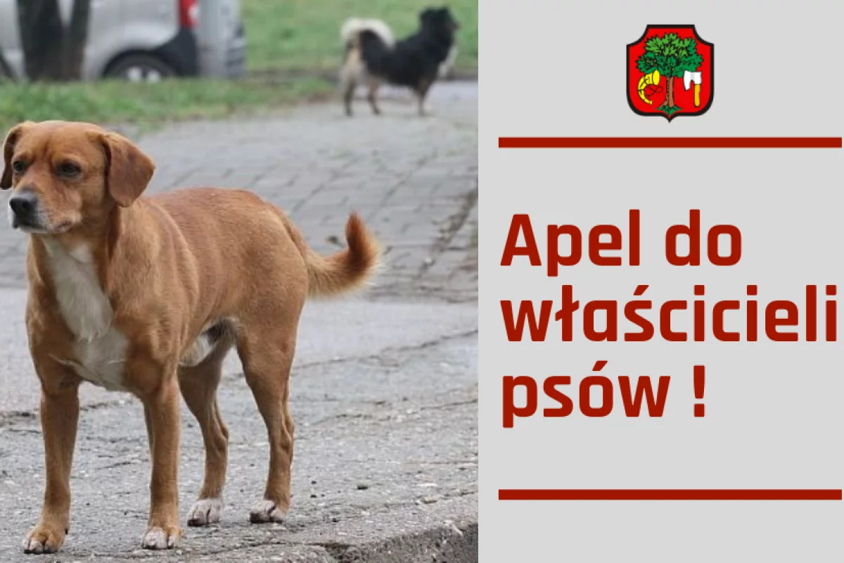 Apel do właścicieli psów