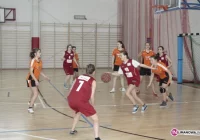 Piłka koszykowa w gminie Limanowa - zdjęcie główne