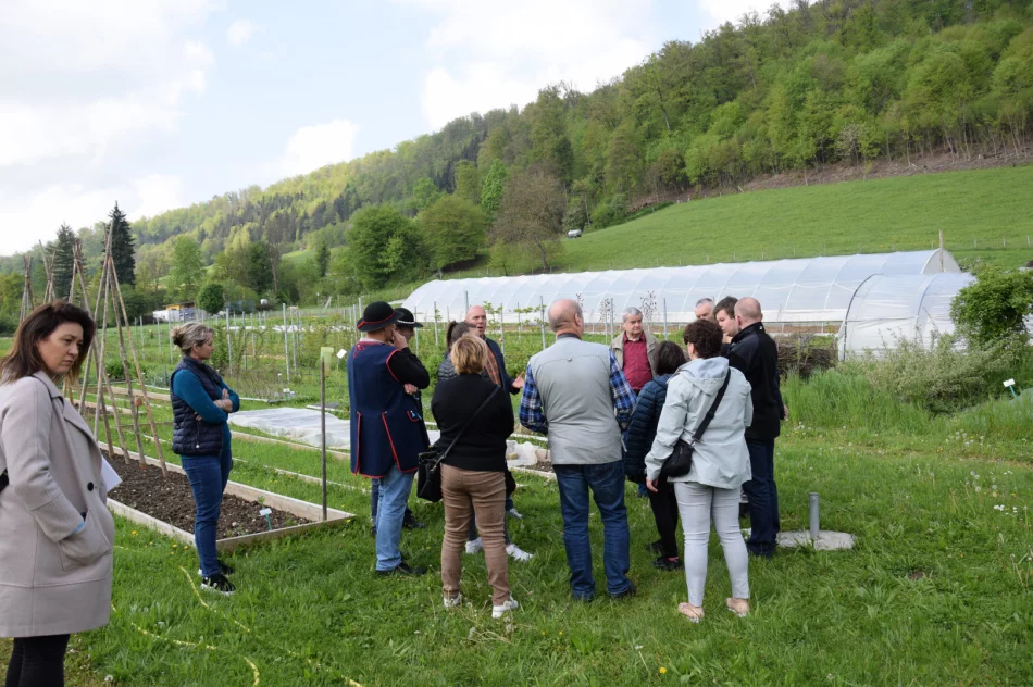 Śladami inż. Jana Drożdża, czyli II wyjazd studyjny do Szwajcarii - zdjęcie 5
